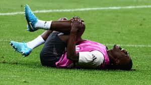 意大利足协 意大利足协